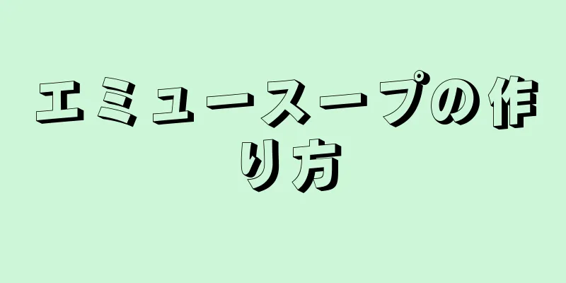 エミュースープの作り方