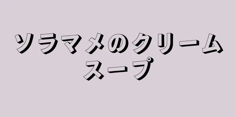 ソラマメのクリームスープ