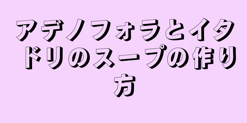 アデノフォラとイタドリのスープの作り方