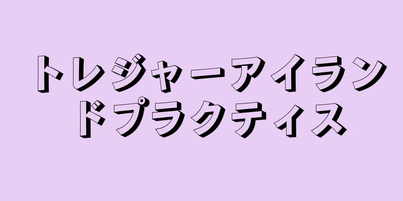 トレジャーアイランドプラクティス