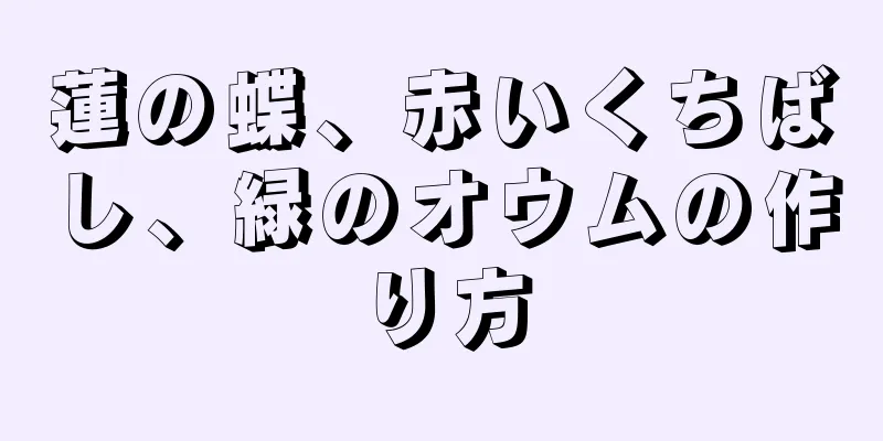 蓮の蝶、赤いくちばし、緑のオウムの作り方