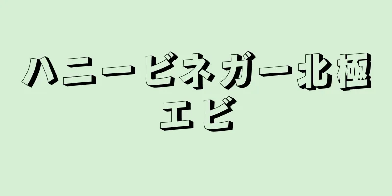 ハニービネガー北極エビ