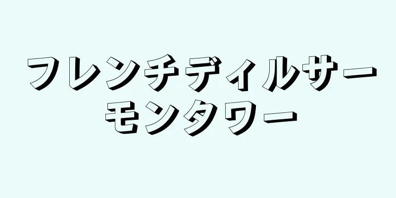 フレンチディルサーモンタワー