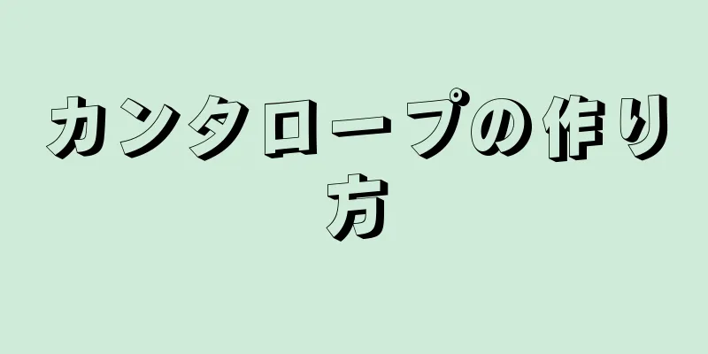 カンタロープの作り方