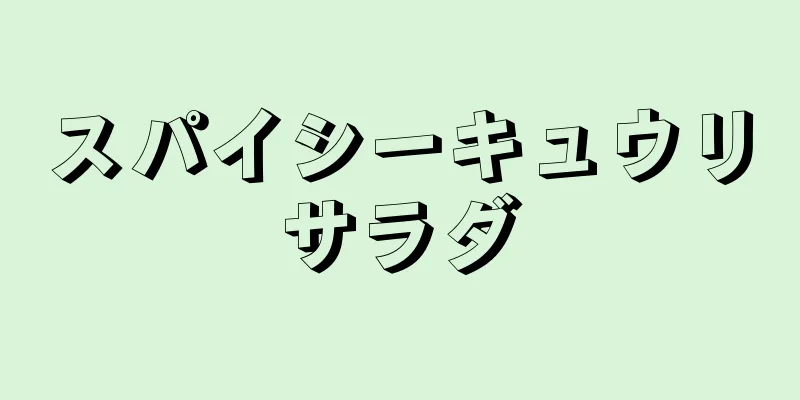 スパイシーキュウリサラダ