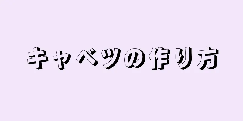 キャベツの作り方