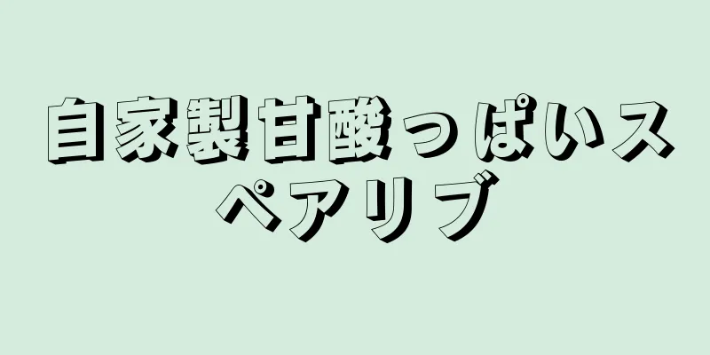 自家製甘酸っぱいスペアリブ