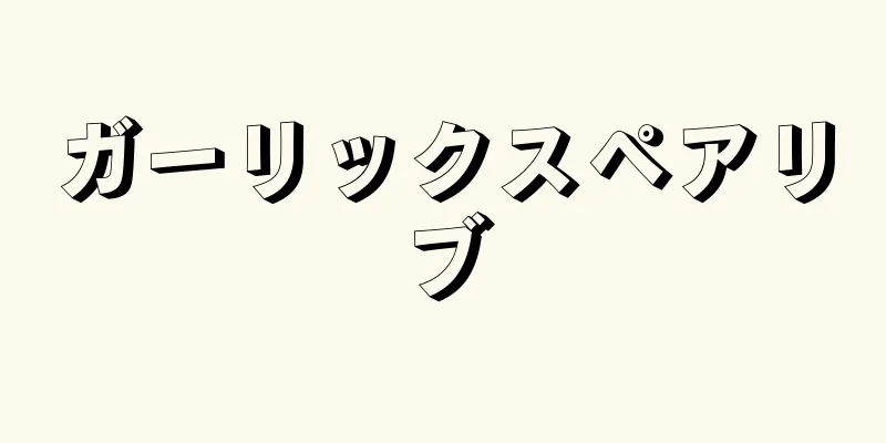 ガーリックスペアリブ