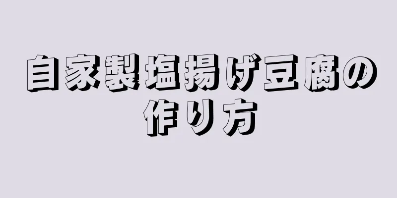 自家製塩揚げ豆腐の作り方