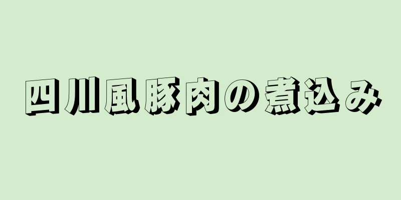 四川風豚肉の煮込み