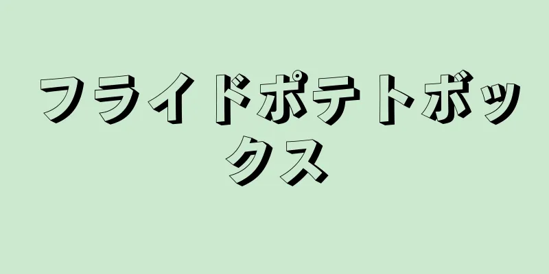 フライドポテトボックス