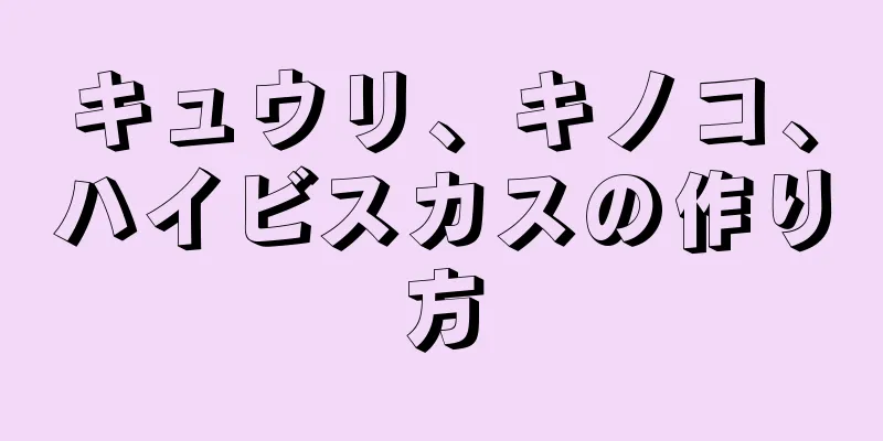 キュウリ、キノコ、ハイビスカスの作り方