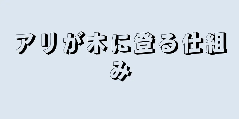 アリが木に登る仕組み