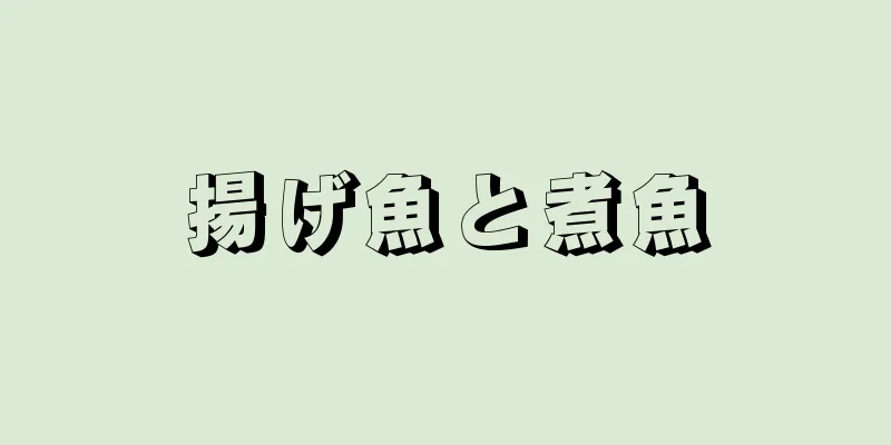 揚げ魚と煮魚