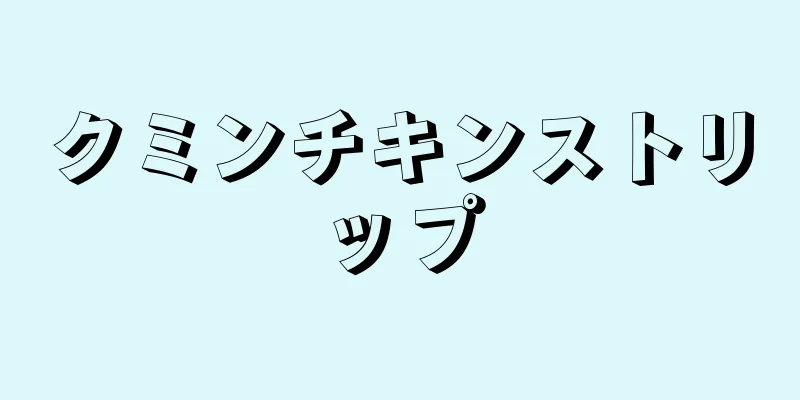 クミンチキンストリップ