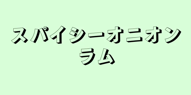 スパイシーオニオンラム