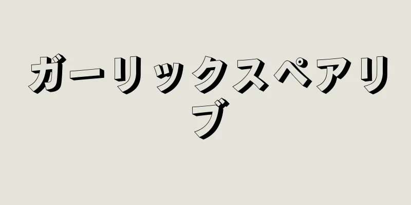 ガーリックスペアリブ