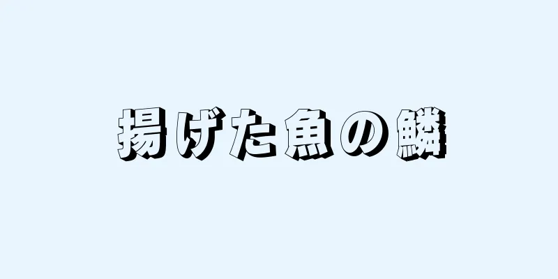 揚げた魚の鱗