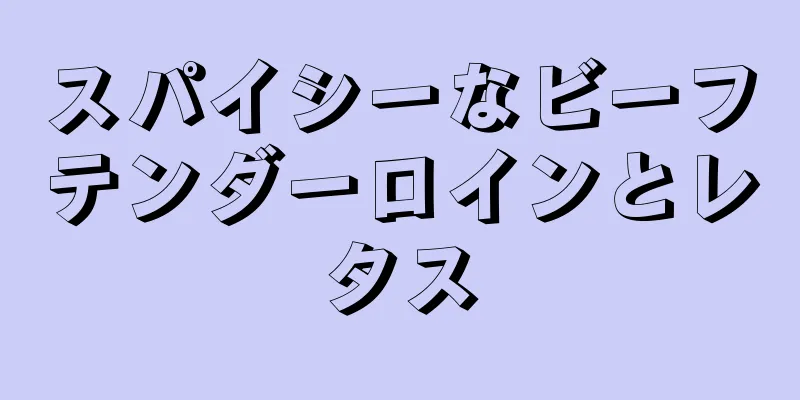 スパイシーなビーフテンダーロインとレタス