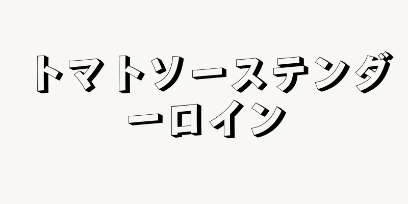 トマトソーステンダーロイン