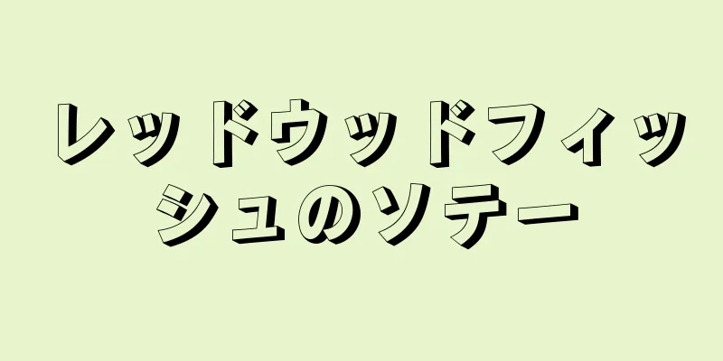 レッドウッドフィッシュのソテー