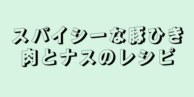 スパイシーな豚ひき肉とナスのレシピ