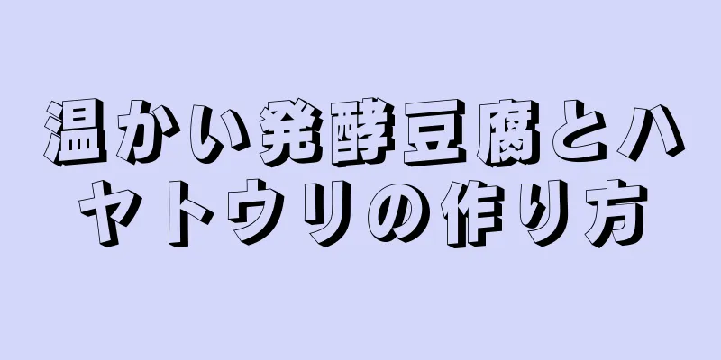 温かい発酵豆腐とハヤトウリの作り方