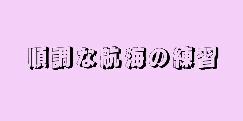 順調な航海の練習