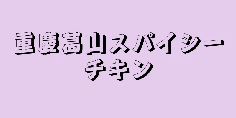 重慶葛山スパイシーチキン