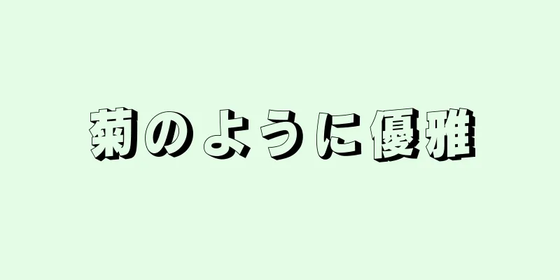 菊のように優雅