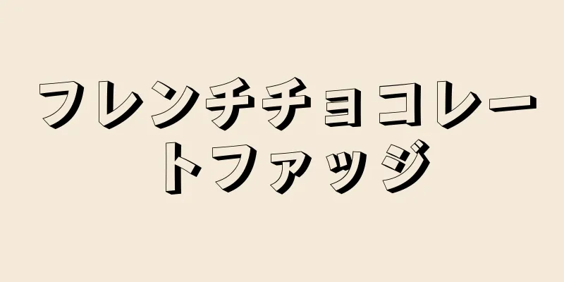 フレンチチョコレートファッジ