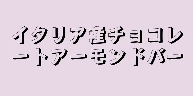 イタリア産チョコレートアーモンドバー