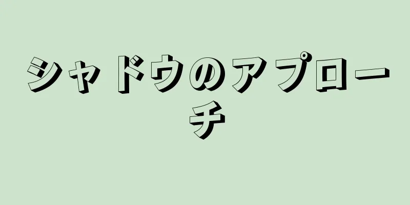 シャドウのアプローチ