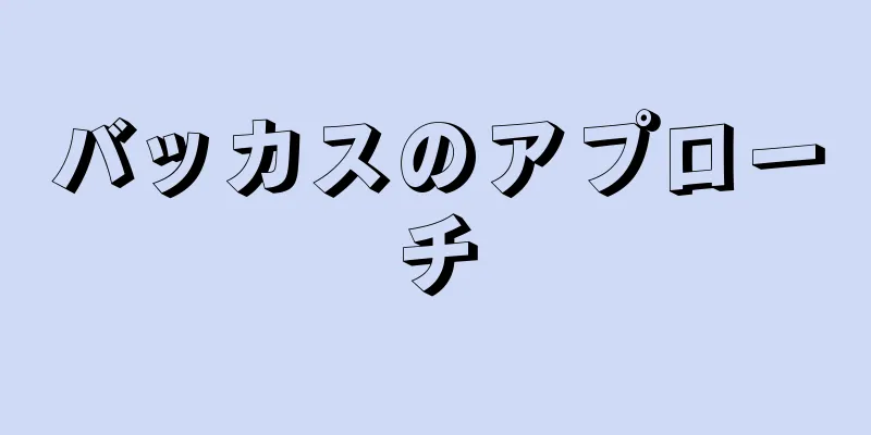 バッカスのアプローチ