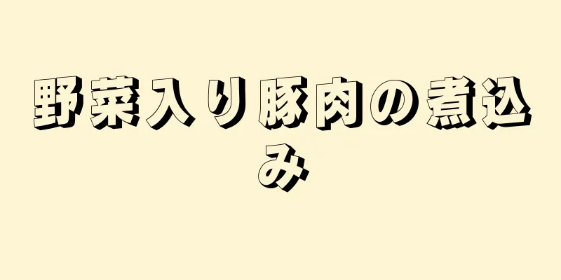 野菜入り豚肉の煮込み