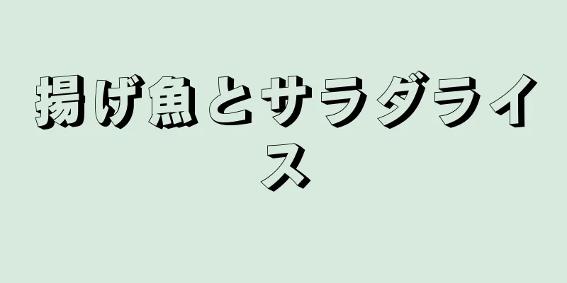 揚げ魚とサラダライス