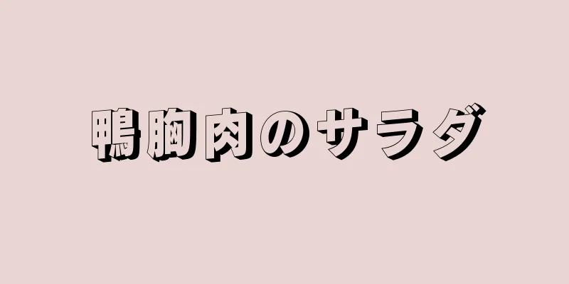 鴨胸肉のサラダ