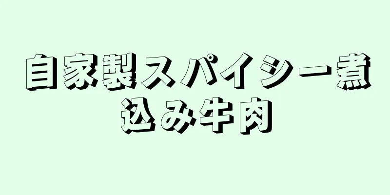 自家製スパイシー煮込み牛肉