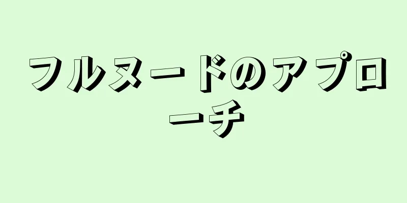 フルヌードのアプローチ