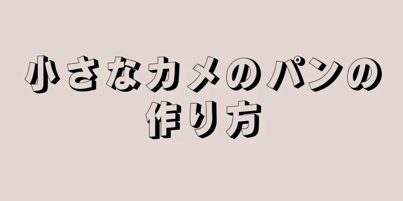 小さなカメのパンの作り方