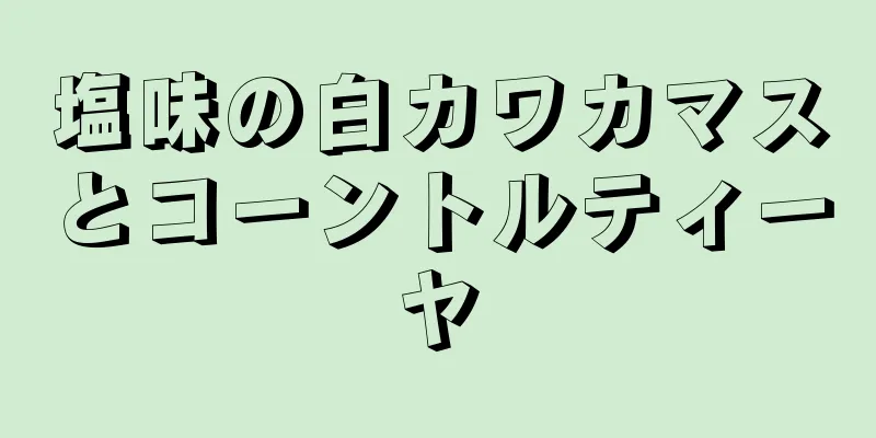 塩味の白カワカマスとコーントルティーヤ