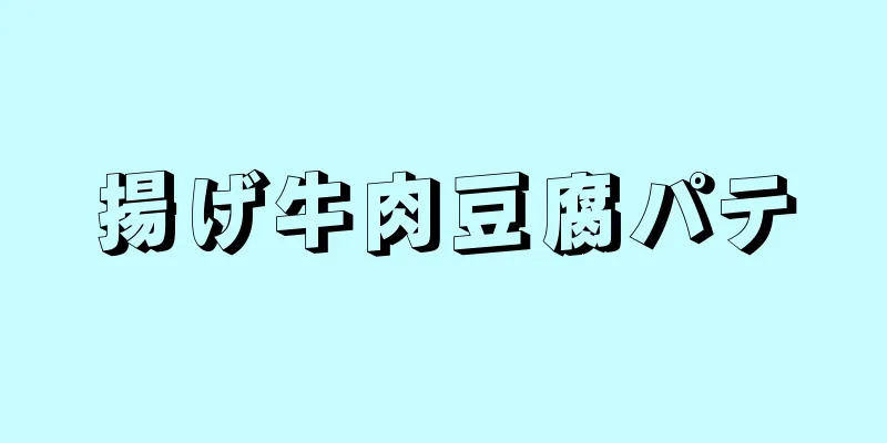 揚げ牛肉豆腐パテ