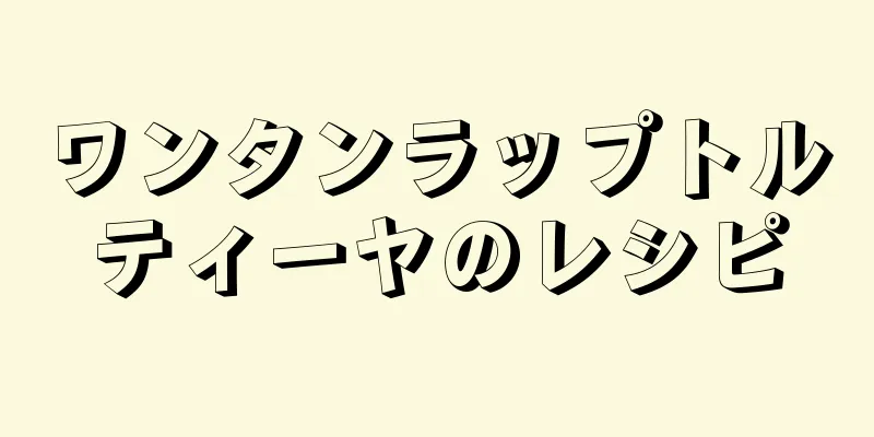 ワンタンラップトルティーヤのレシピ