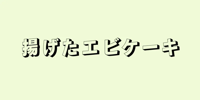 揚げたエビケーキ