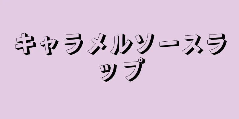 キャラメルソースラップ