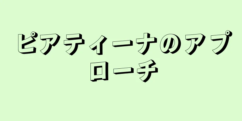 ピアティーナのアプローチ