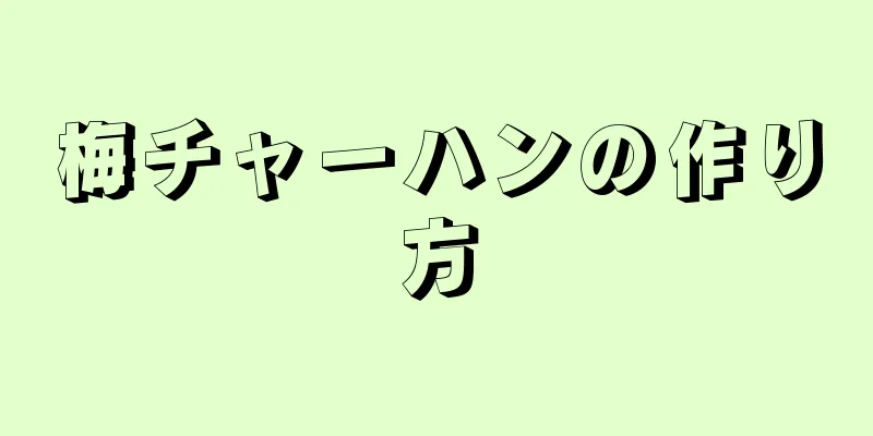 梅チャーハンの作り方