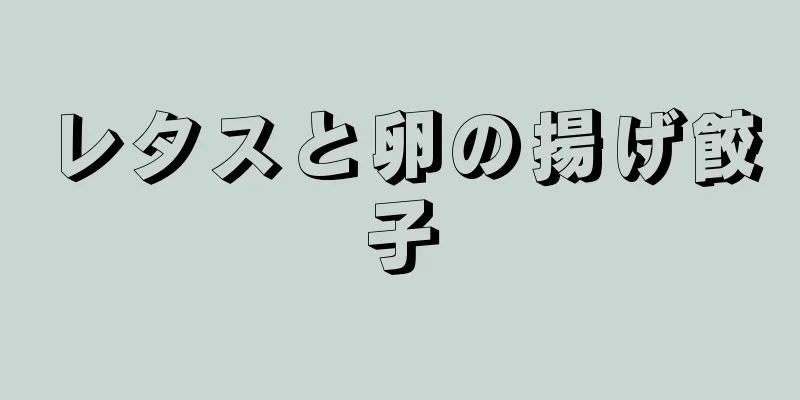 レタスと卵の揚げ餃子