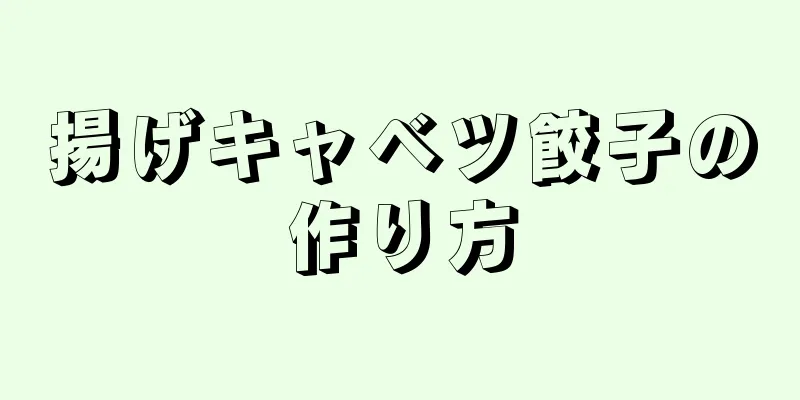 揚げキャベツ餃子の作り方