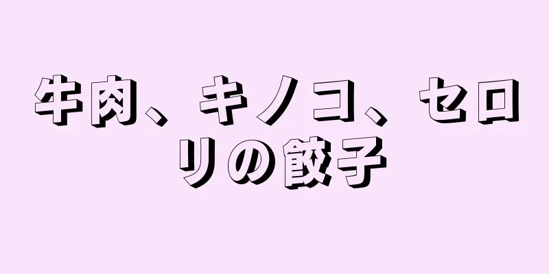 牛肉、キノコ、セロリの餃子